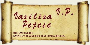 Vasilisa Pejčić vizit kartica